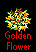 GoldenFlowerIcon.png